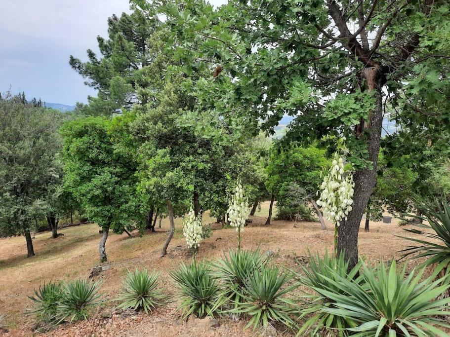 Villa Tutti I Colori Del Chianti Linari エクステリア 写真