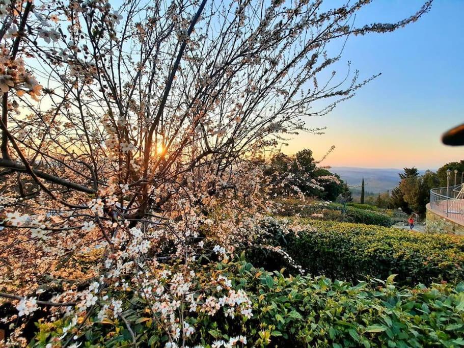 Villa Tutti I Colori Del Chianti Linari エクステリア 写真