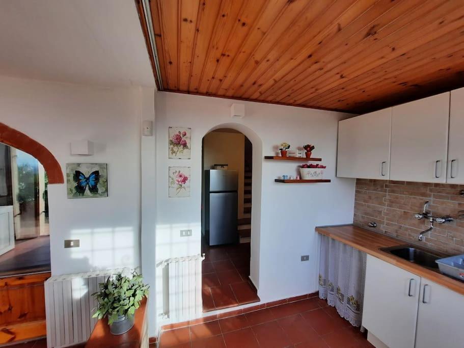 Villa Tutti I Colori Del Chianti Linari エクステリア 写真