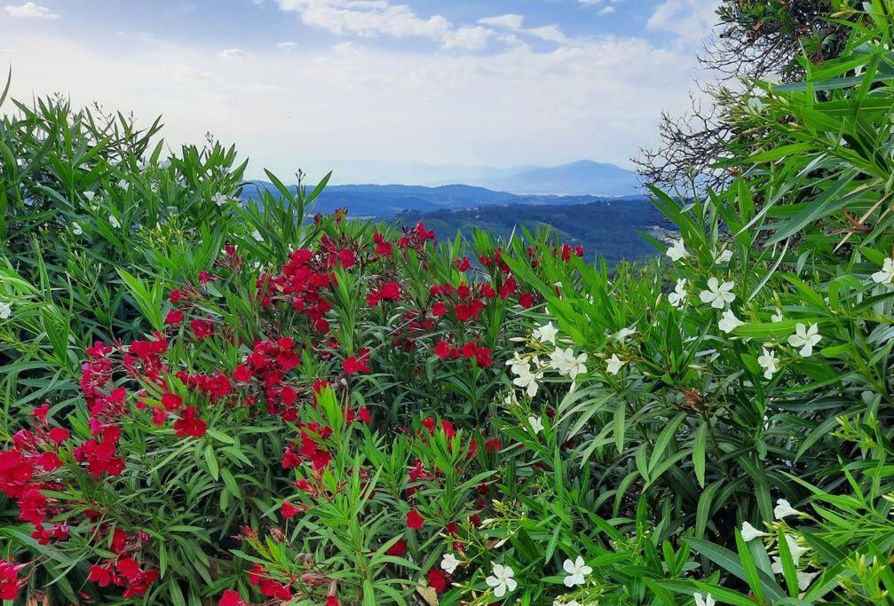 Villa Tutti I Colori Del Chianti Linari エクステリア 写真